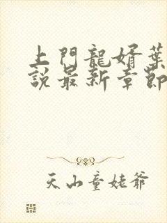 上门龙婿叶辰小说最新章节阅续
