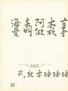海来阿木有一种爱叫做放手 海来阿木有一种爱叫做放手