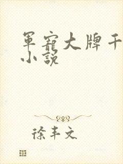 军宠大牌千金 小说