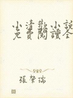小清欢小说全文免费阅读全文