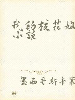 我的校花姐姐 小说