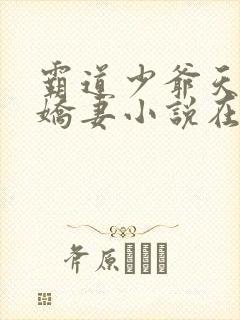 霸道少爷天才小娇妻小说在线阅读全文