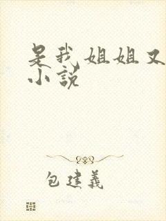 是我姐姐又如何小说