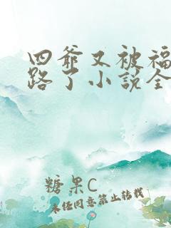 四爷又被福晋套路了小说全文阅读