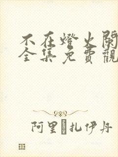 不在灯火阑珊处全集免费观看