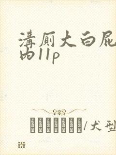 沟厕大白屁股国内11p