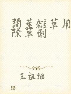 阔叶杂草用什么除草剂