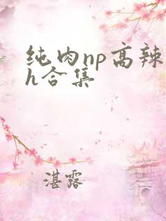 纯肉np高辣文h合集