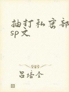 抽打私密部调教sp文