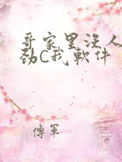 哥家里没人使点劲C我软件