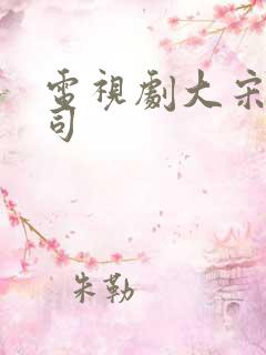 电视剧大宋北斗司