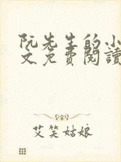 阮先生的小说全文免费阅读无弹窗