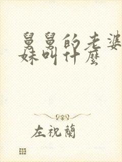 舅舅的老婆的妹妹叫什么