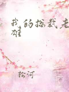 我的总裁老婆叶雄