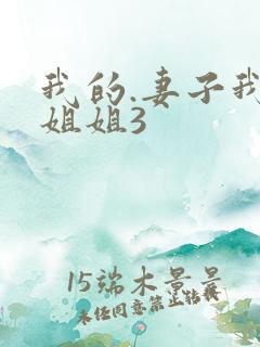 我的.妻子我的姐姐3