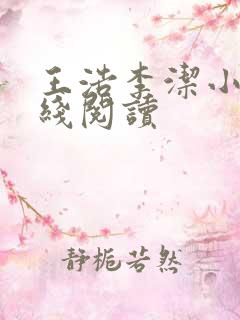 王浩李洁小说在线阅读