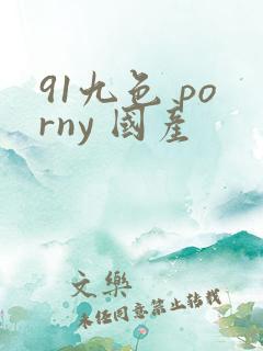 91九色 porny 国产