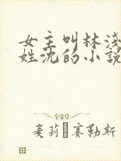 女主叫林浅男主姓沈的小说