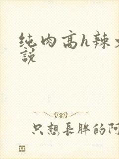 纯肉高h辣文小说