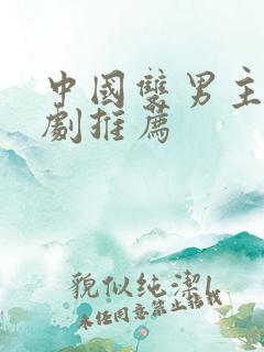 中国双男主电视剧推荐
