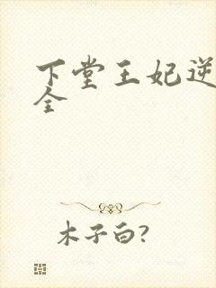 下堂王妃逆袭记全