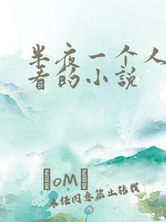 半夜一个人偷偷看的小说