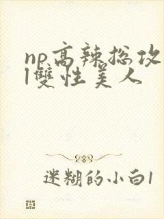 np高辣总攻bl双性美人