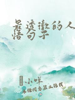 最透彻的人生感悟句子