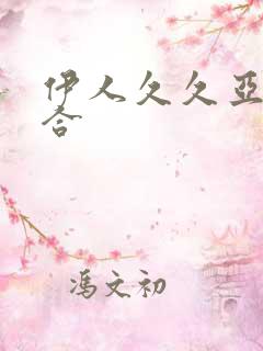 伊人久久亚洲综合