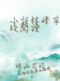 小说林峰宁欣在线阅读