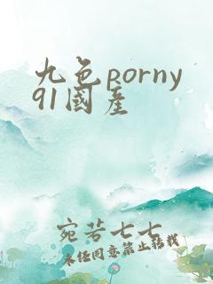 九色porny91国产