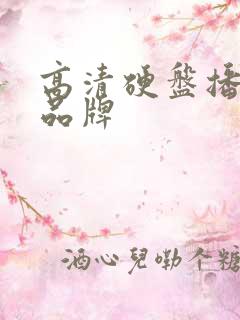 高清硬盘播放机品牌