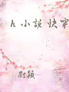 h 小说 快穿