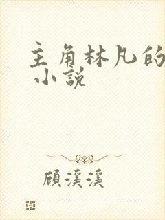 主角林凡的小说 小说