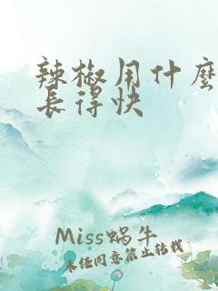 辣椒用什么肥料长得快