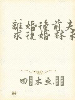 离婚后前夫哭着求复婚 林未央 离婚后前夫哭着求复婚 林未央