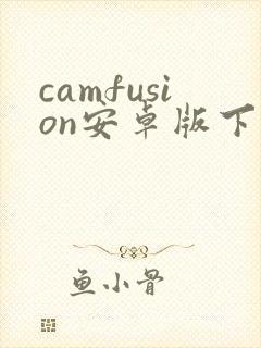 camfusion安卓版下载