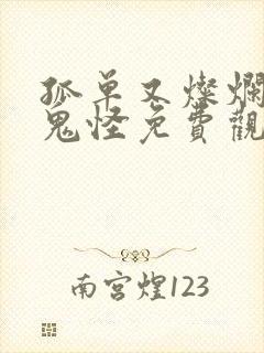 孤单又灿烂的神鬼怪免费观看国语版