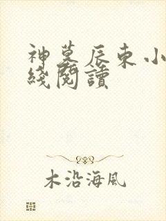 神墓辰东小说在线阅读