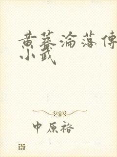 黄蓉沦落传大武小武
