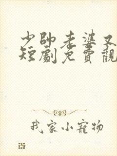 少帅老婆又跑了短剧免费观看高清