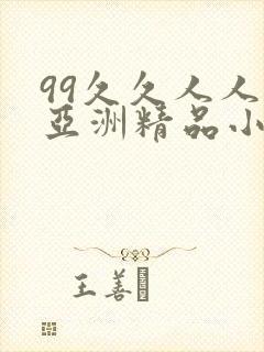 99久久人人爽亚洲精品小说