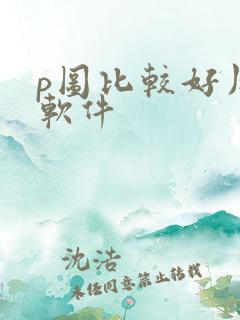 p图比较好用的软件