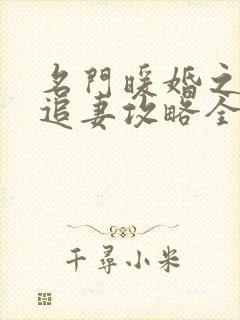 名门暖婚之权爷追妻攻略全文