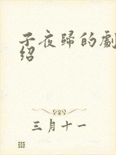 子夜归的剧情介绍