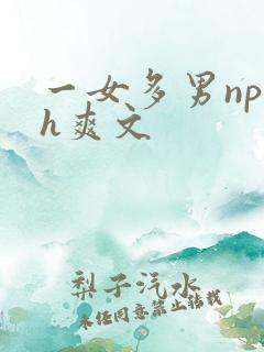 一女多男np高h爽文