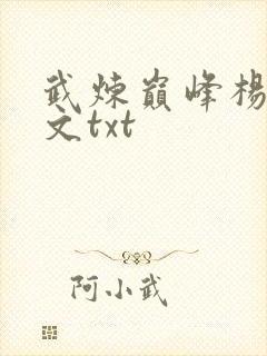 武炼巅峰杨开全文txt
