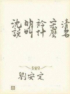 沈明衿宋清杳小说叫什么名字