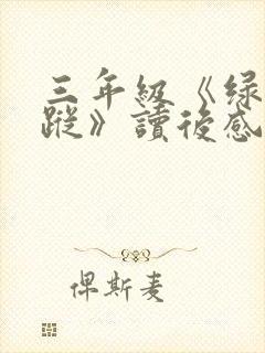 三年级《绿野仙踪》读后感500字范文