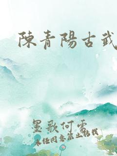 陈青阳古武狂兵